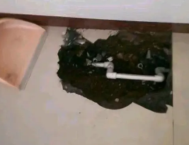 随州市卫生间测漏水多少钱